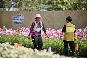 BIB: 
                            <button type="button" onclick="openModal(27804675)" class="btn btn-primary btn-sm float-right btn-popup" data-toggle="modal" data-target=".modal-high-quality">
                        <i class="fas fa-shopping-cart"></i> Add to Cart
                    </button>
                                            <button type="button" onclick="isThisMe(27804675, true)" class="btn btn-success btn-sm float-right btn-popup btn-isme hidden" data-toggle="tooltip" data-placement="bottom" title="นี่คือรูปของคุณใช่ไหม คลิกที่นี่เพื่อเอาเข้าอัลบั้ม">
                        <i class="fas fa-plus"></i> Add to album
                    </button>
                    <button type="button" onclick="isThisMe(27804675, false)" class="btn btn-warning btn-sm float-right btn-popup btn-isnotme hidden">
                        <i class="fas fa-ban"></i> Remove from album
                    </button>